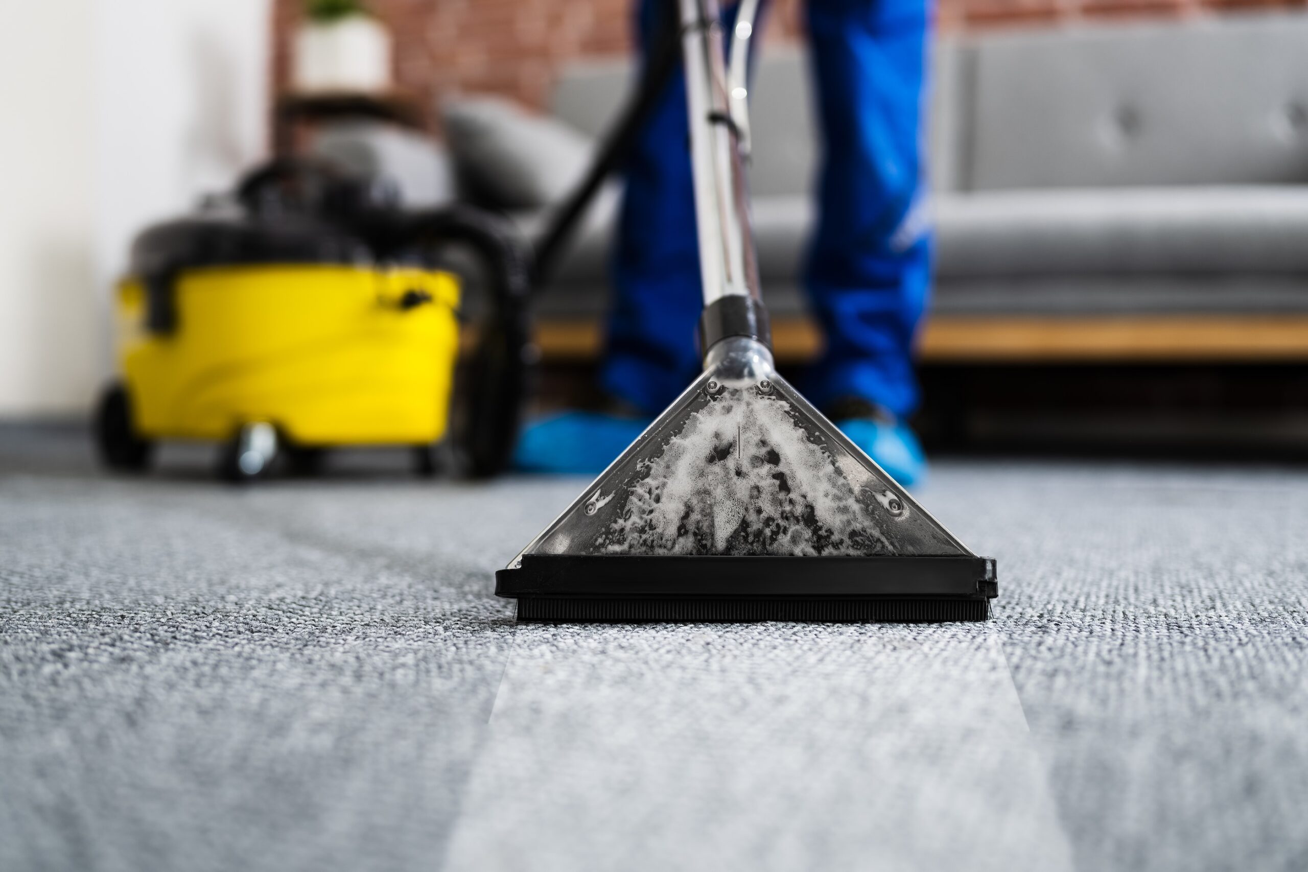 Best-Carpet-Cleaning-In-Virginia